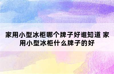 家用小型冰柜哪个牌子好谁知道 家用小型冰柜什么牌子的好